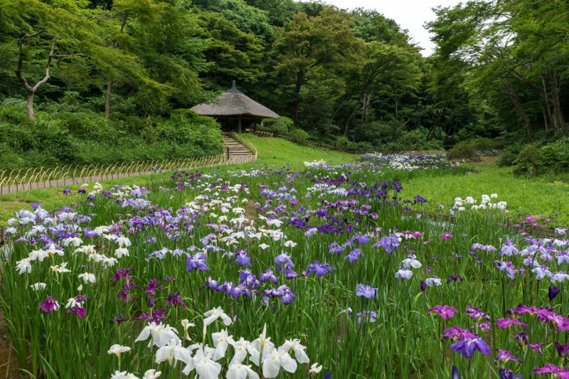 Thần cung Minh trị